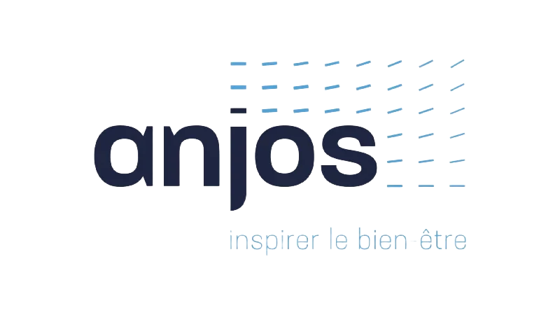 Logo Anjos Refonte Dun Site Internet Pour Une Entreprise Industrielle 3