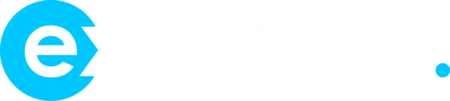 Logo Expertize Blanc OFF